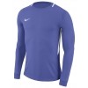 Camisola de Guarda-redes Nike Park Goalie III 894509-518