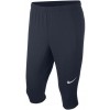 Pantalon Nike Academy 18 3/4 Tech Pant 893793-451