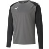 Sweat-shirt Puma Liga Training Sweat 657238-13