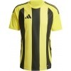 Maillot adidas Striped 24 IW2146