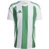 Maillot adidas Striped 24 IW2148