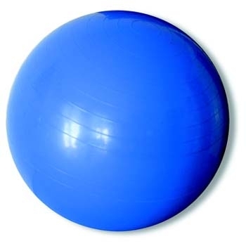  JS Flexi Ball 65cms