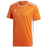 Camiseta de Fútbol ADIDAS Entrada 18 CD8366