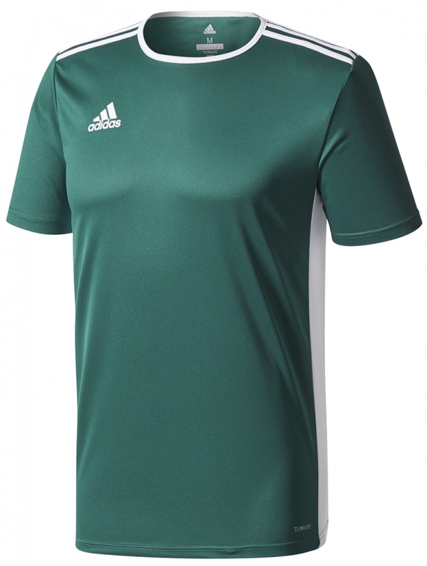 Camisola adidas Entrada 18