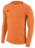 Camisola de Guarda-redes Nike Park Goalie III