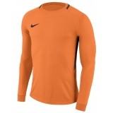 Maillot de Gardien de Fútbol NIKE Park Goalie III 894509-803