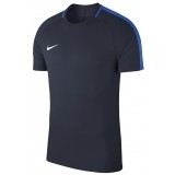 Camisola de Fútbol NIKE Academy 18 893693-451