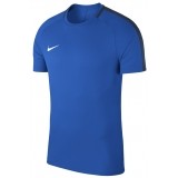 Camisola de Fútbol NIKE Academy 18 893693-463