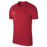 Maillot  de Fútbol NIKE Academy 18 893693-657