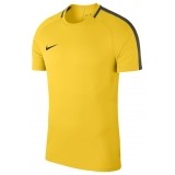 Camisola de Fútbol NIKE Academy 18 893693-719