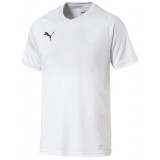 Camisola de Fútbol PUMA Liga Core 703509-04