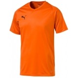 Maillot de Fútbol PUMA Liga Core 703509-08