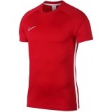 Maillot  de Fútbol NIKE Dri-FIT Academy AJ9996-657