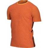 Maillot de Gardien de Fútbol NIKE Gardien III BV6714-803