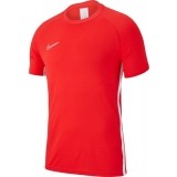 Camiseta Entrenamiento de Fútbol NIKE Academy 19 AJ9088-671