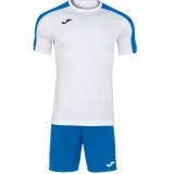 
Tenue de Fútbol JOMA Academy III P-101656-207