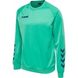 Sweat-shirt de Fútbol HUMMEL Promo 205874-6507