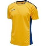 Camiseta de Fútbol HUMMEL HmlAuthentic Poly 204919-5167
