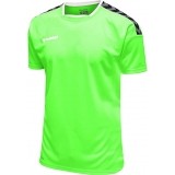 Camiseta de Fútbol HUMMEL HmlAuthentic Poly 204919-6750