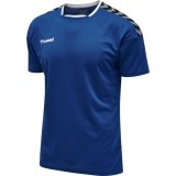 Camiseta de Fútbol HUMMEL HmlAuthentic Poly 204919-7045