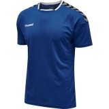 Maillot de Fútbol HUMMEL HmlAuthentic Poly 204919-7045