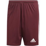 Calo de Fútbol ADIDAS Squadra 21 GN8083