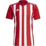 Maillot de Fútbol ADIDAS Striped 21 GN7624