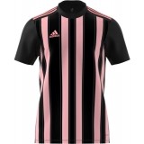 Maillot de Fútbol ADIDAS Striped 21 H35643