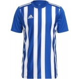 Maillot de Fútbol ADIDAS Striped 21 GH7321