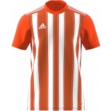 Camisola de Fútbol ADIDAS Striped 21 H35642