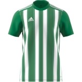 Camiseta de Fútbol ADIDAS Striped 21 H35644