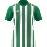 Maillot de Fútbol ADIDAS Striped 21 H35644