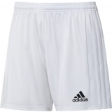 Calo de Fútbol ADIDAS Squadra 21  GN5782