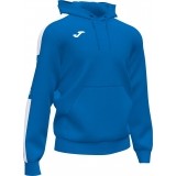 Sweatshirt de Fútbol JOMA Championship IV 102103.702