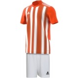 Equipamento de Fútbol ADIDAS Striped 21 P-H35642