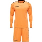 Tenue de Gardien de Fútbol HUMMEL Core 205280-5006