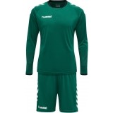 Conjunto de Guarda-redes de Fútbol HUMMEL Core 205280-6140