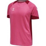 Camisola de Fútbol HUMMEL HmlLead Poly Jersey 207393-3576