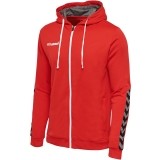 Chaqueta Chndal de Fútbol HUMMEL HmlAuthentic Poly Zip Hoodie 204937-3062