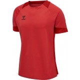 Camisola de Fútbol HUMMEL HmlLead Poly Jersey 207393-3062