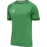 Camisola de Fútbol HUMMEL HmlLead Poly Jersey 207393-6235