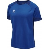 Maillot de Fútbol HUMMEL HmlLead Poly Jersey 207393-7045