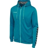 Chaqueta Chndal de Fútbol HUMMEL HmlAuthentic Poly Zip Hoodie 204937-8745