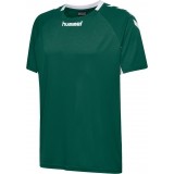 Maillot de Fútbol HUMMEL Core Team  203436-6140