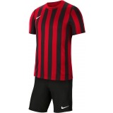 Equipacin de Fútbol NIKE Striped Division IV P-CW3813-658