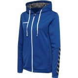 Veste de jogging de Fútbol HUMMEL HmlAuthentic Poly Zip Hoodie 204939-7045