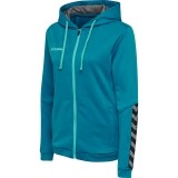 Casaco treino de Fútbol HUMMEL HmlAuthentic Poly Zip Hoodie 204939-8745