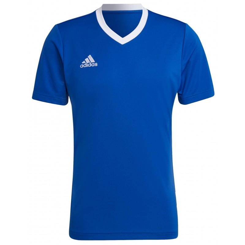 Camiseta adidas Entrada 22