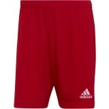 Calo de Fútbol ADIDAS Entrada 22 H61735