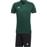 Equipamento de Fútbol ADIDAS Condivo 22 Jersey P-HE3057